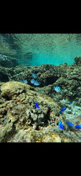 武藤潜水に投稿された画像（2025/2/10）