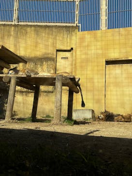 那須どうぶつ王国に投稿された画像（2025/2/10）