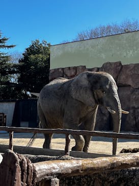 那須どうぶつ王国に投稿された画像（2025/2/10）