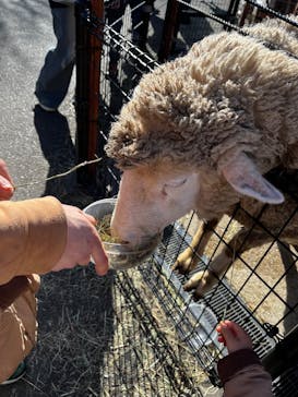 那須どうぶつ王国に投稿された画像（2025/2/10）