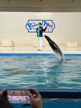 登別マリンパークニクスに投稿された画像（2025/2/10）