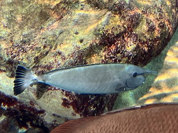 九十九島パールシーリゾートに投稿された画像（2025/2/10）