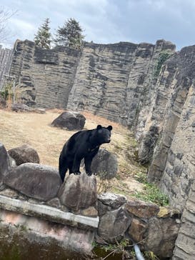 九十九島パールシーリゾートに投稿された画像（2025/2/10）
