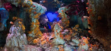 サンシャイン水族館に投稿された画像（2025/2/10）