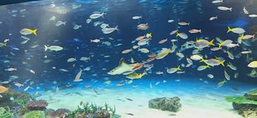 サンシャイン水族館に投稿された画像（2025/2/10）
