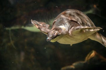 しながわ水族館に投稿された画像（2025/2/10）