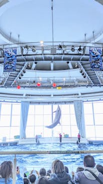 アクアワールド茨城県大洗水族館に投稿された画像（2025/2/10）