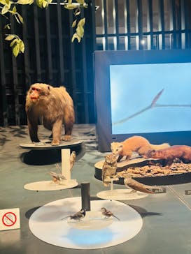 国立科学博物館に投稿された画像（2025/2/10）