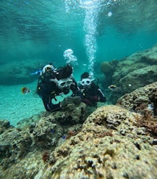 沖縄マリンサービス碧に投稿された画像（2025/2/10）