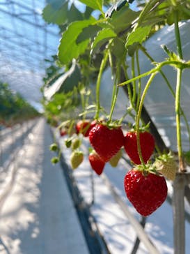株式会社こまち野に投稿された画像（2025/2/10）