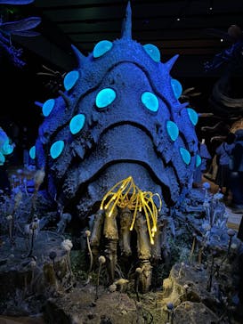 金曜ロードショーとジブリ展　三重展に投稿された画像（2025/2/10）