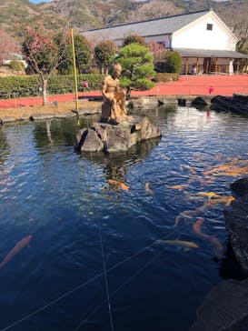 土肥金山に投稿された画像（2025/2/10）