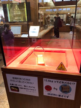 土肥金山に投稿された画像（2025/2/10）