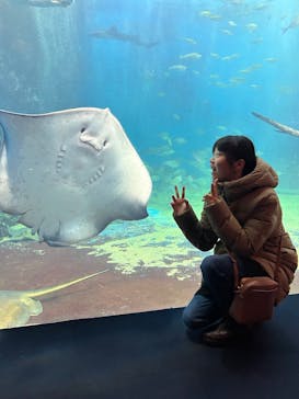 越前松島水族館に投稿された画像（2025/2/10）