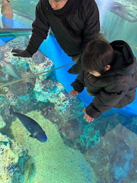 越前松島水族館に投稿された画像（2025/2/10）