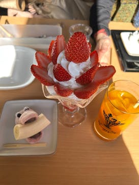 熱川バナナワニ園に投稿された画像（2025/2/10）