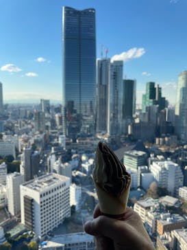 東京タワーに投稿された画像（2025/2/10）