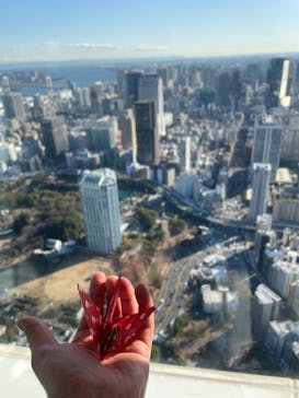 東京タワーに投稿された画像（2025/2/10）
