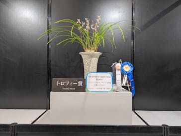 世界らん展2026-花と緑の祭典-に投稿された画像（2025/2/10）