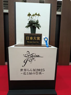 世界らん展2026-花と緑の祭典-に投稿された画像（2025/2/10）