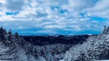 秋田市太平山スキー場オーパスに投稿された画像（2025/2/10）
