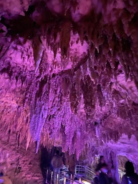 おきなわワールドに投稿された画像（2025/2/10）