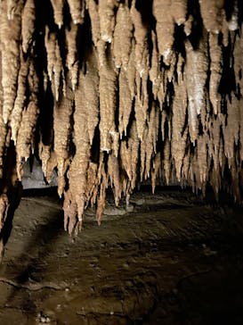 おきなわワールドに投稿された画像（2025/2/10）