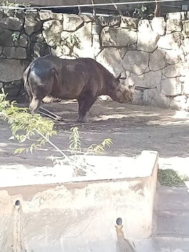 恩賜上野動物園に投稿された画像（2025/2/10）