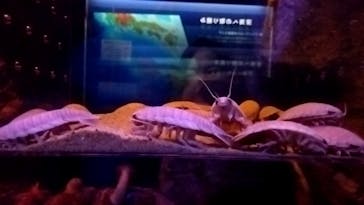 マリンワールド海の中道に投稿された画像（2025/2/10）