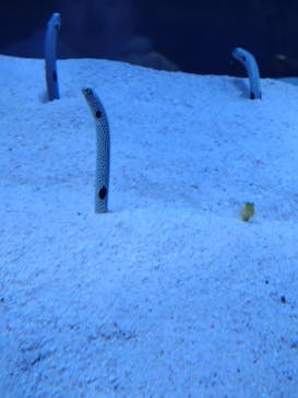 マリンワールド海の中道に投稿された画像（2025/2/10）