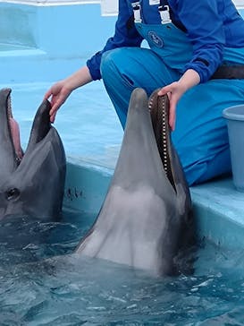 マリンワールド海の中道に投稿された画像（2025/2/10）