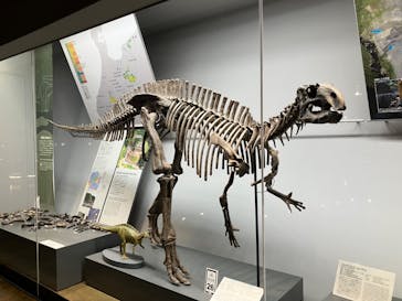 福井県立恐竜博物館に投稿された画像（2025/2/10）