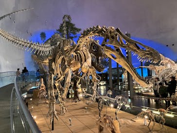 福井県立恐竜博物館に投稿された画像（2025/2/10）