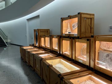 福井県立恐竜博物館に投稿された画像（2025/2/10）