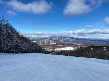 白樺高原国際スキー場に投稿された画像（2025/2/10）