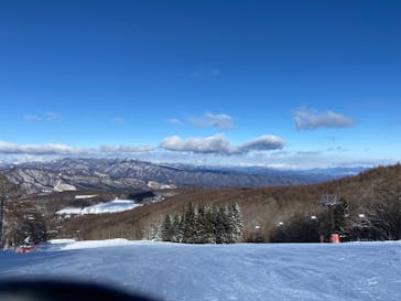 白樺高原国際スキー場に投稿された画像（2025/2/10）