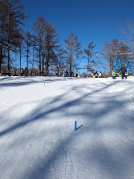 軽井沢スノーパークに投稿された画像（2025/2/10）