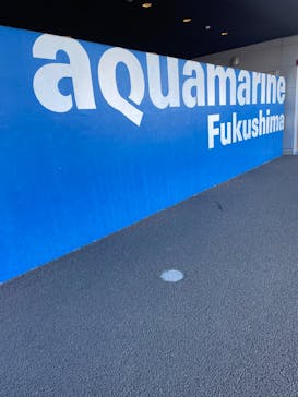 環境水族館アクアマリンふくしまに投稿された画像（2025/2/10）
