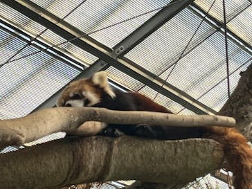 神戸どうぶつ王国に投稿された画像（2025/2/10）