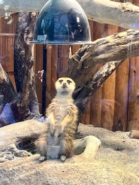 神戸どうぶつ王国に投稿された画像（2025/2/10）