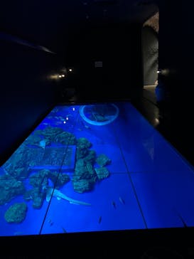 DMMかりゆし水族館に投稿された画像（2025/2/10）