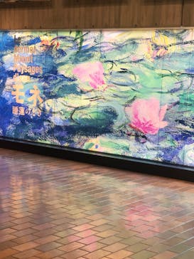 モネ 睡蓮のとき（国立西洋美術館）に投稿された画像（2025/2/10）