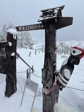 ピラタス蓼科スノーリゾートに投稿された画像（2025/2/10）