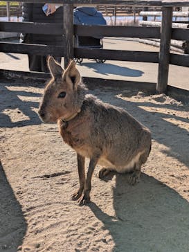 マザー牧場に投稿された画像（2025/2/10）