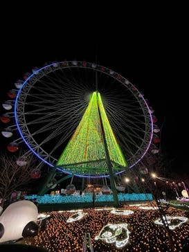 さがみ湖MORI MORIに投稿された画像（2025/2/10）