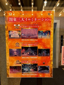 さがみ湖MORI MORIに投稿された画像（2025/2/10）