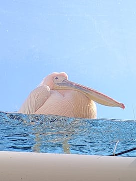 サンシャイン水族館に投稿された画像（2025/2/10）
