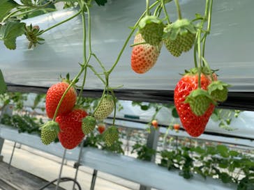 株式会社こまち野に投稿された画像（2025/2/10）