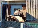 多摩動物公園に投稿された画像（2025/2/10）