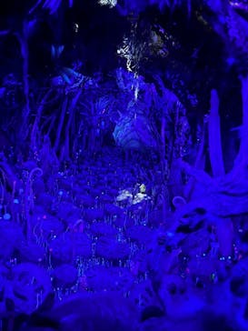 金曜ロードショーとジブリ展　三重展に投稿された画像（2025/2/10）